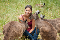 Assurance Backpackers